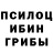 Псилоцибиновые грибы Psilocybine cubensis Answered Prayers