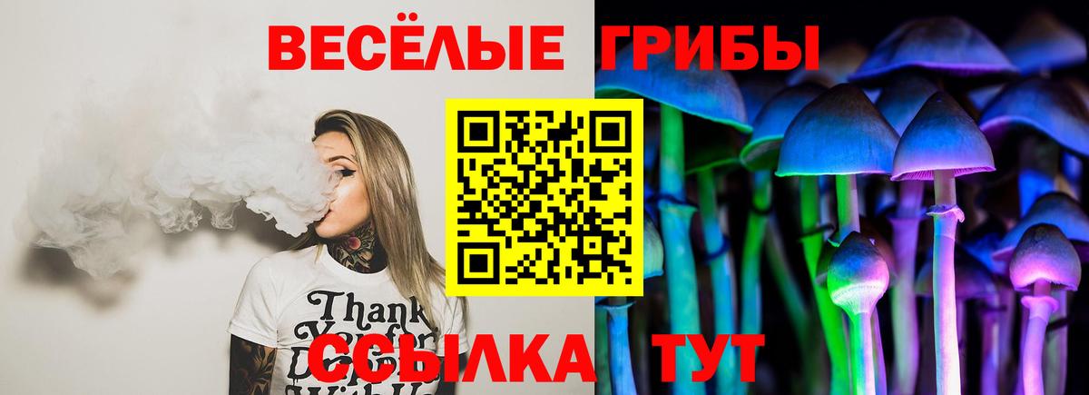 Таганрог  Псилоцибиновые грибы GOLDEN TEACHER  продажа наркотиков  Вход с VPN 
