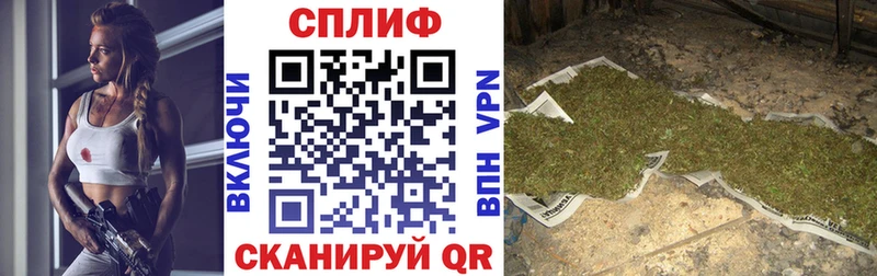 Бошки Шишки AK-47  купить  сайты  Таганрог 